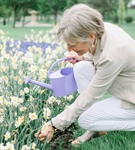 Our Definition of a Companion: Caring, Compassionate, & Committed