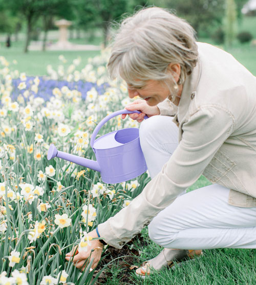 Our Definition of a Companion: Caring, Compassionate, & Committed